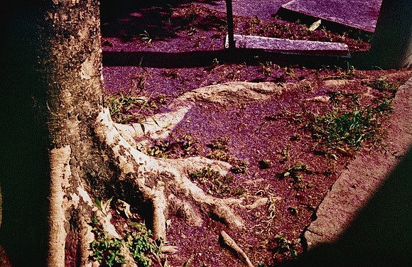 17 Natalia Mendoza - Harman Phoenix 200 por Arca Film Lab (Abril 2025) - Rollo 0930