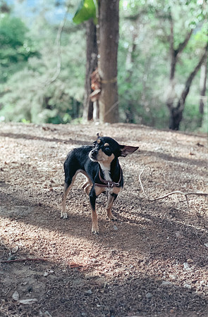 06 Amdrés Cux - Cinestill 400D por Arca Film Lab (Julio 2024) - Rollo 0179