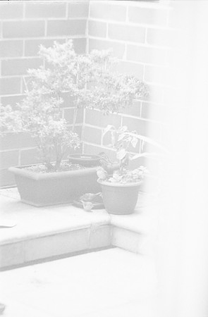 13 Durden - Kodak BW400CN por Arca Film Lab (Noviembre 2024) - Rollo 0499