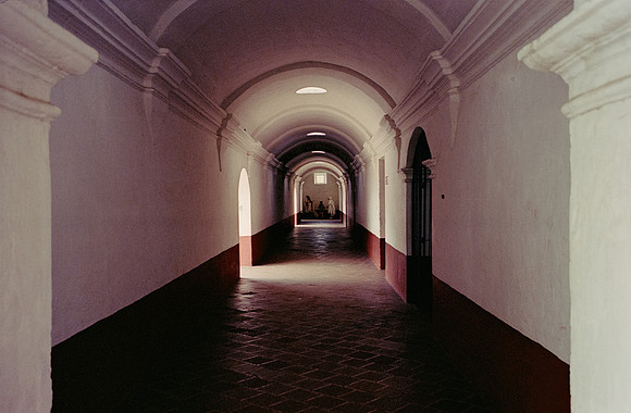 14 Luis Felipe Rodríguez - Kodak Portra 400 por Arca Film Lab (Mayo 2025) - Rollo 1093