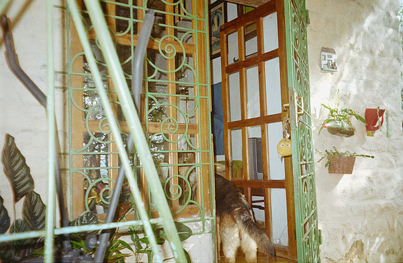 20 Javier Díaz - Kodak Gold 200 por Arca Film Lab (Febrero 2025) - Rollo 0722