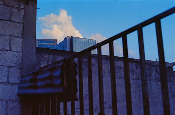 17 Elliot Morales - Cinestill 800T por Arca Film Lab (Abril 2025) - Rollo 0980