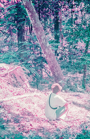 16 Natalia Mendoza - Lomography Purple por Arca Film Lab (Mayo 2025) - Rollo 1019