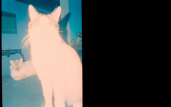 02 Alenxander Membreño - Cinestill 800T por Arca Film Lab (Abril 2025) - Rollo 0927