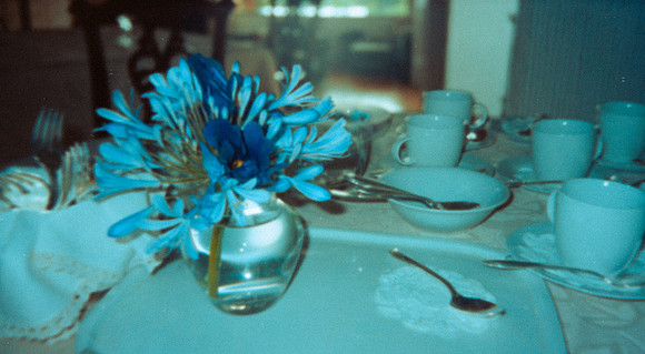 22 Alexander Daum - Kodak Gold 200 por Arca Film Lab (Abril 2025) - Rollo 0897