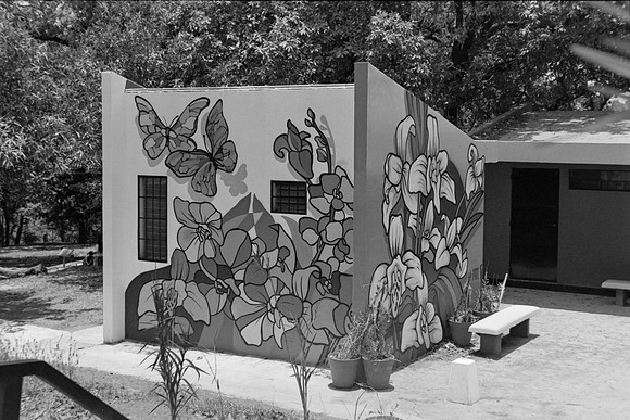 10 Omar Véliz - Kodak TMax 400 por Arca Film Lab (Mayo 2024) - Rollo 0059