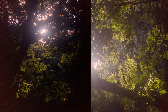 22 Takumii - Cinestill 800T por Arca Film Lab