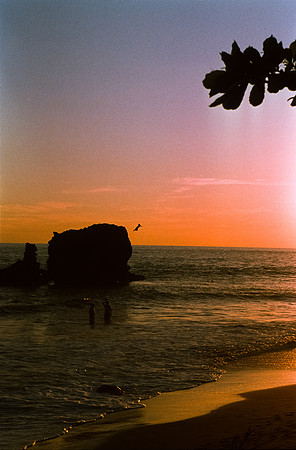 32 Eduardo Chávez - Kodak Ektachrome 100 por Arca Film Lab (Febrero 2025) - Rollo 0694