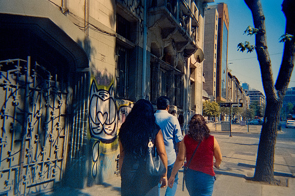27 Zulma Rodríguez - Cinestill 800T por Arca Film Lab (Enero 2025) - Rollo 0604