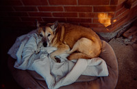 03 Loren Giordana - Kodak 800 por Arca Film Lab (Mayo 2025) - Rollo 1043