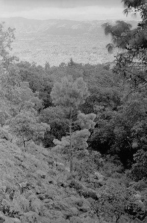 12 Rodrigo Bracamonte - Fujifilm Acros 100 por Arca Film Lab (Marzo 2025) - Rollo 0789