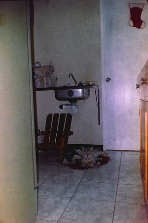 20 Edwin Hernández - Konica Centuria Super 400 por Arca Film Lab (Febrero 2025) - Rollo 0010