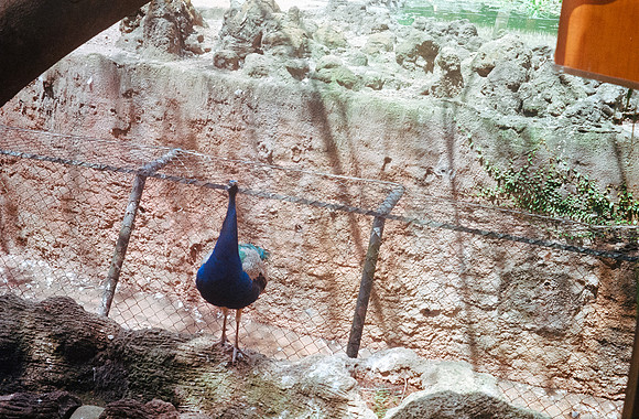 13 Cármen Torres - Kodak Gold 200 - Arca Film Lab (Septiembre 2024) - Rollo 0335