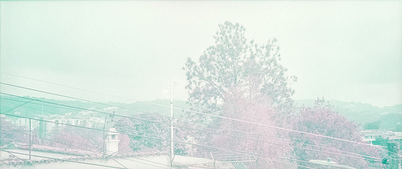 07 Natalia Mendoza - Lomography Purple por Arca Film Lab (Mayo 2025) - Rollo 1019