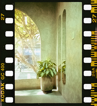 30 David Santiago - Kodak Ultramax 400 por Arca Film Lab (Febrero 2025) - Rollo 0703