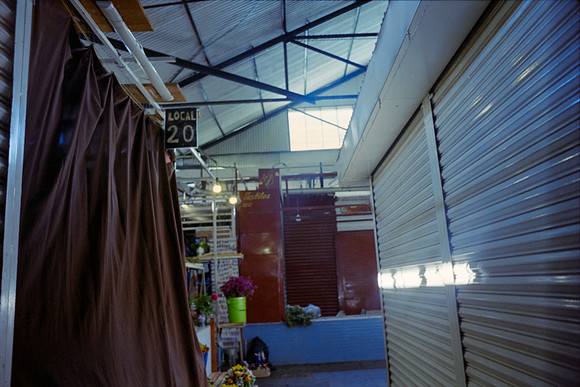 07 Saskia - Kodak Vision 3 500T por Arca Film Lab (Enero 2024)