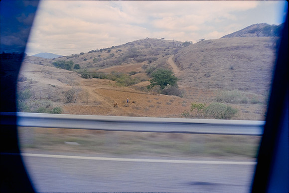 10 Saskia - Kodak Vision 3 500T por Arca Film Lab (Enero 2024)