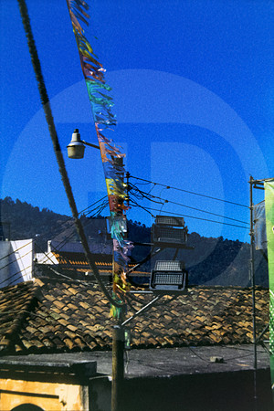 06 Lisgar_Santos - Harman Phoenix 200 por Arca Film Lab (Enero 2024)