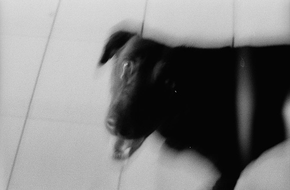 03 Hael López - Lomography Lady Grey por Arca Film Lab (Mayo 2025) - Rollo 1066