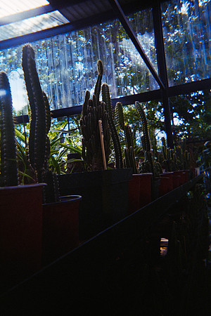 10 Julissa Ortega - Kodak Ultramax 400 por Arca Film Lab (Mayo 2025) - Rollo 1022