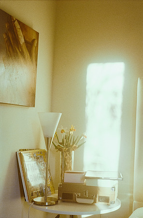 31 Natalia Crodon - Kodak Proimage 100 por Arca Film Lab (Abril 2025) - Rollo 0948
