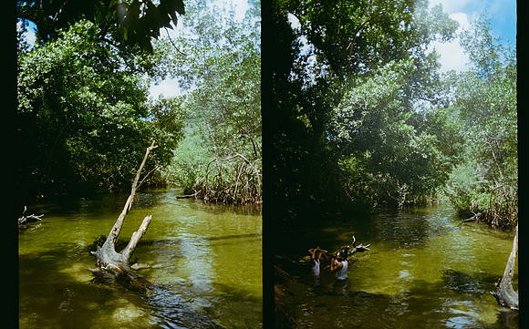 23 Jimmy Barrientos - Kodak Gold 200 por Arca Film Lab (Junio 2025) - Rollo 1141