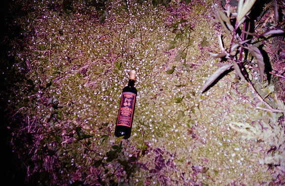 05 Andrés Molina - Fujifilm 200 por Arca Film Lab (Noviembre 2024) - Rollo 0453