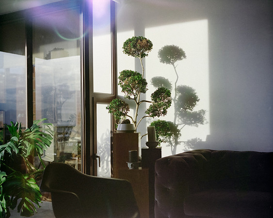05 Rotthur 120 - Kodak Portra 400 por Arca Film Lab (Enero 2024)
