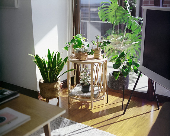 07 Rotthur 120 - Kodak Portra 400 por Arca Film Lab (Enero 2024)