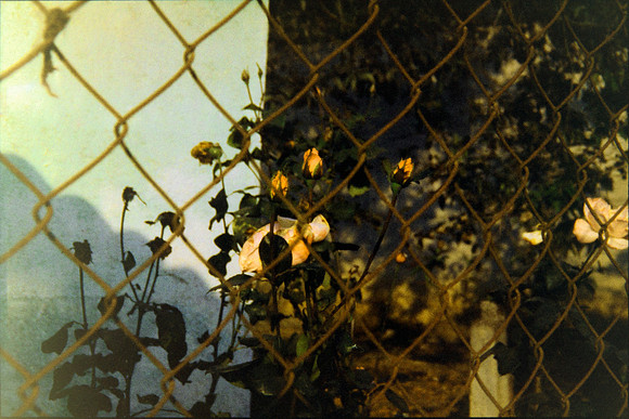 01 Hectorantonio.jpg - Harman Phoenix 200 por Arca Film Lab (Enero 2024)