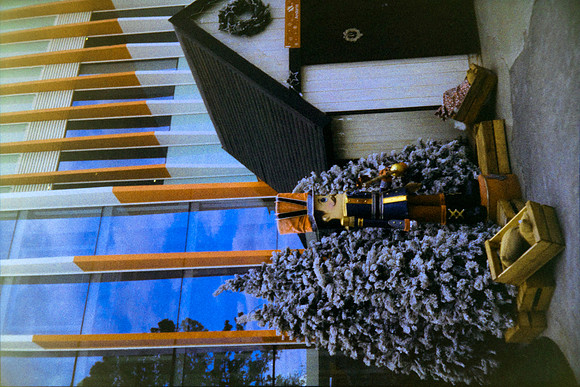 16 Hectorantonio.jpg - Harman Phoenix 200 por Arca Film Lab (Enero 2024)