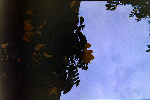 17 Hectorantonio.jpg - Harman Phoenix 200 por Arca Film Lab (Enero 2024)