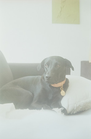 28 Andrea Osorio - Kodak Gold 200 por Arca Film Lab (Mayo 2025) - Rollo 1074