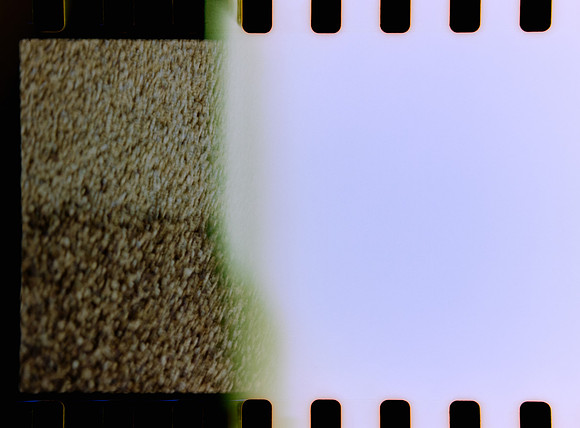 03 Jimmy Morán - Fuji C200 por Arca Film Lab (Enero 2024)