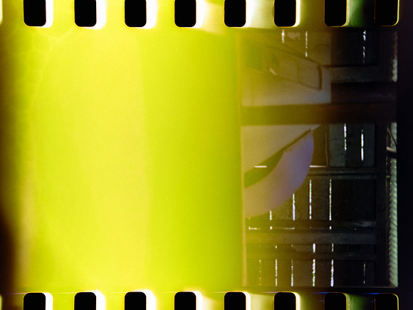 04 Jimmy Morán - Fuji C200 por Arca Film Lab (Enero 2024)
