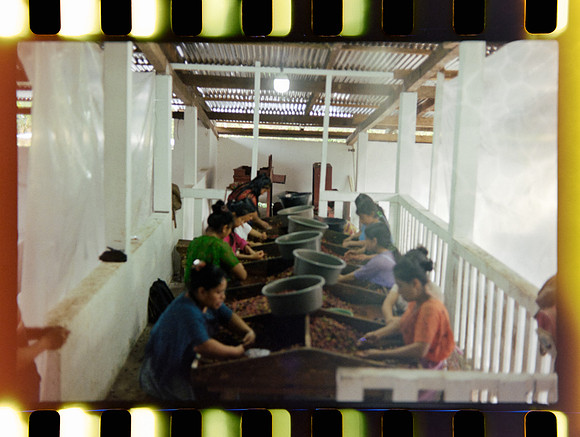 05 Jimmy Morán - Fuji C200 por Arca Film Lab (Enero 2024)