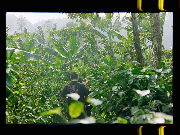 09 Jimmy Morán - Fuji C200 por Arca Film Lab (Enero 2024)