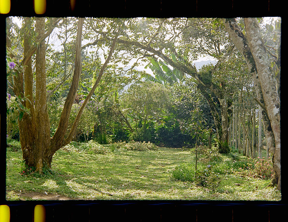 12 Jimmy Morán - Fuji C200 por Arca Film Lab (Enero 2024)