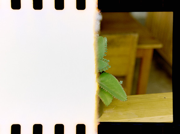 18 Jimmy Morán - Fuji C200 por Arca Film Lab (Enero 2024)