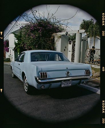 03 Alexander Daum - Kodak Gold 200 por Arca Film Lab (Enero 2025) - Rollo 0635
