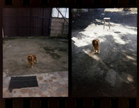 03 Jimmy Morán - Kodak Portra 400 Half Frame por Arca Film Lab (Enero 2024)