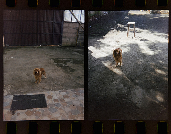 03 Jimmy Morán - Kodak Portra 400 Half Frame por Arca Film Lab (Enero 2024)