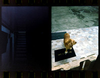 02 Jimmy Morán - Kodak Portra 400 Half Frame por Arca Film Lab (Enero 2024)