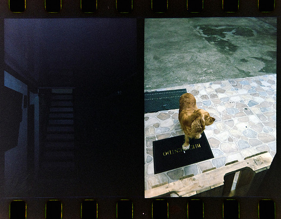 02 Jimmy Morán - Kodak Portra 400 Half Frame por Arca Film Lab (Enero 2024)
