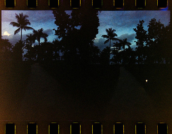 34 Jimmy Morán - Kodak Portra 400 Half Frame por Arca Film Lab (Enero 2024)