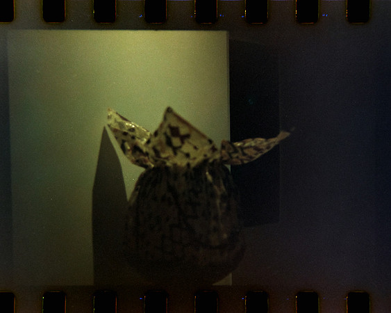 15 Jimmy Morán - Kodak Portra 400 por Arca Film Lab (Enero 2024)