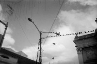 14 2x Rollos Iván Ortíz - Enero 2024 - Arca Film Lab