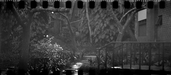 04 Fabriccio Díaz - Ilford HP5 400 Plus Mamiya RZ67 PANORAMA por Arca Film Lab (Febrero 2024)