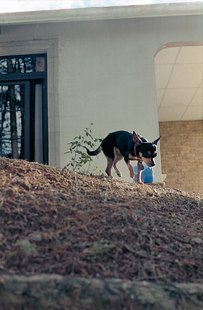 07 Amdrés Cux - Cinestill 400D por Arca Film Lab (Julio 2024) - Rollo 0179