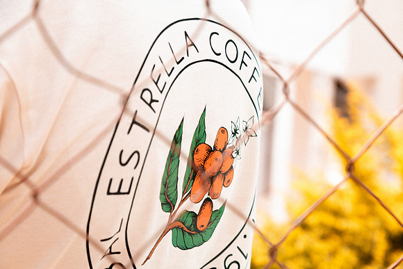 166 Chalabal Estrella - Producción en Finca Febrero 2024 por IndescriptibleFilms